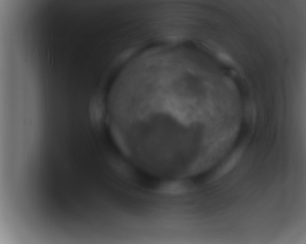 X0000100760072200807031158