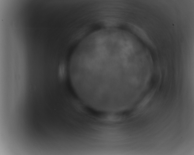 X0000100760074200807031158