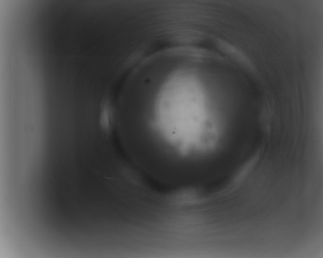 X0000100760076200807031158