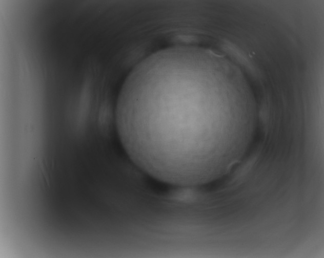 X0000100760079200807031158