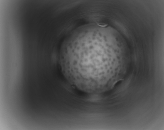 X0000100760081200807031158