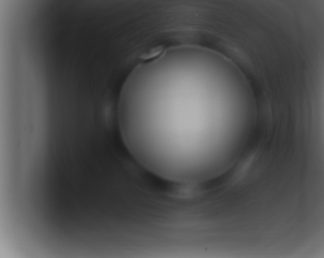 X0000100760088200807031158