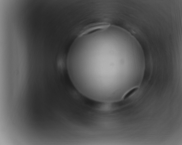 X0000100760090200807031158