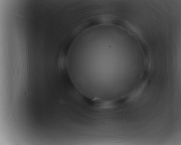 X0000100760093200807031158