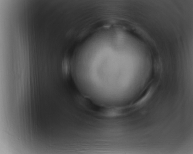 X0000100760094200807031158