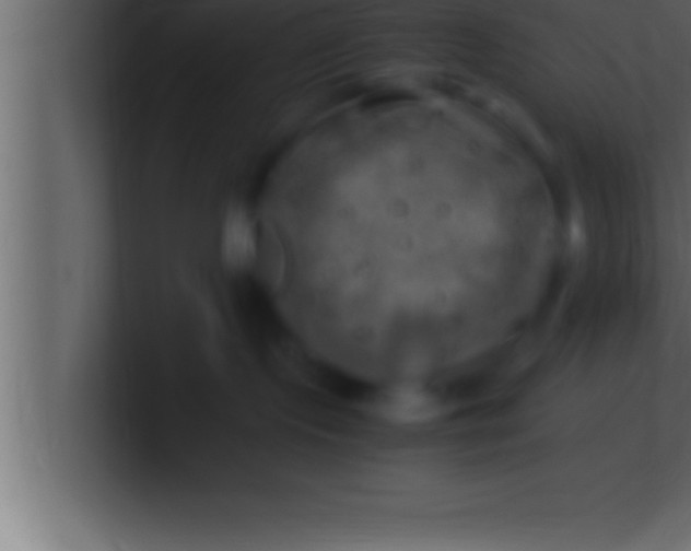 X0000100760095200807031158