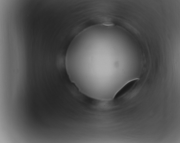 X0000100760096200807031158