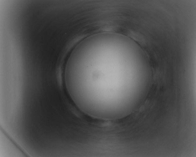 X0000100760098200807031158