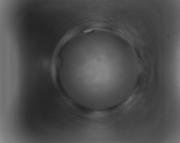 X0000100760101200807031158