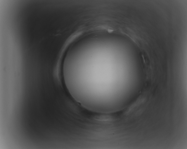 X0000100760104200807031158