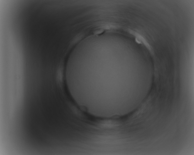 X0000100760105200807031158