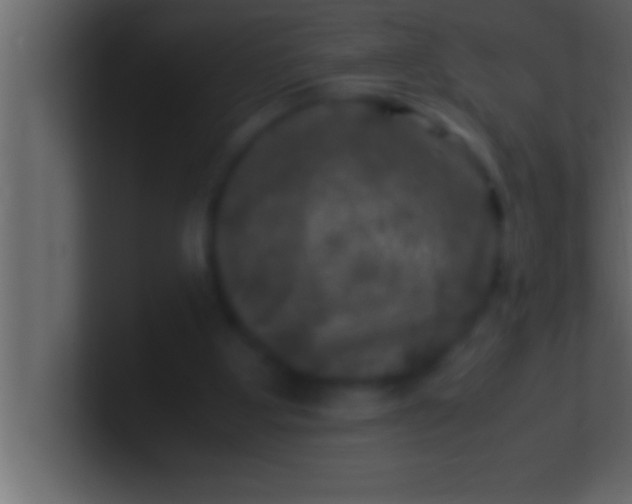 X0000100760107200807031158