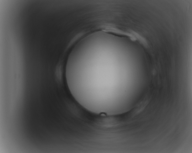 X0000100760108200807031158