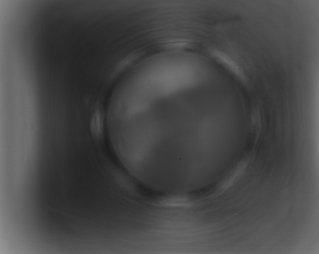 X0000100760110200807031158