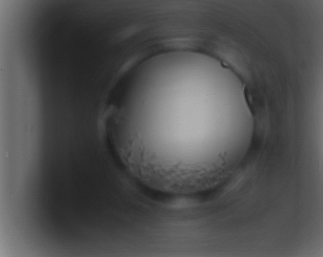 X0000100760111200807031158