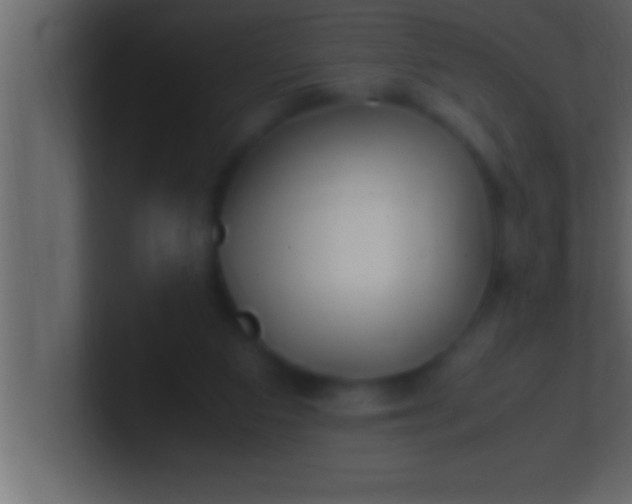 X0000100760113200807031158