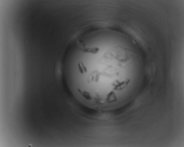 X0000100760115200807031158