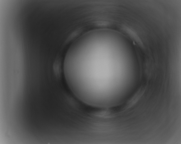 X0000100760116200807031158