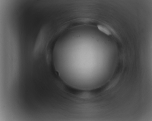 X0000100760119200807031158