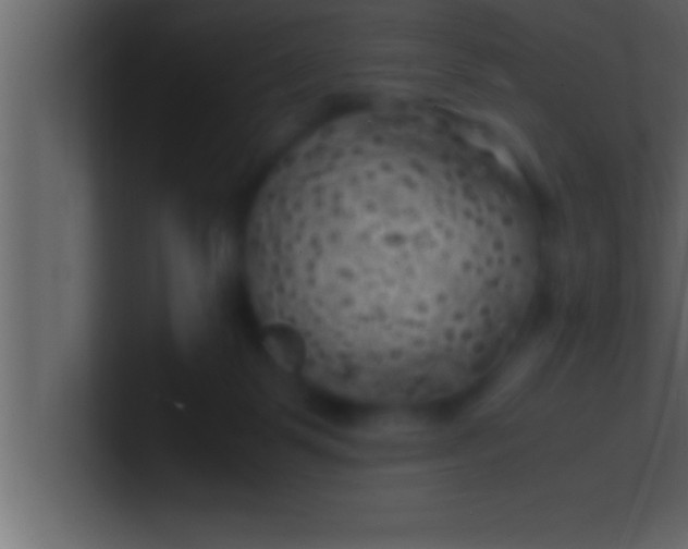 X0000100760123200807031158