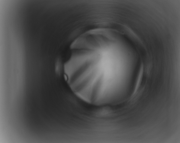 X0000100760124200807031157