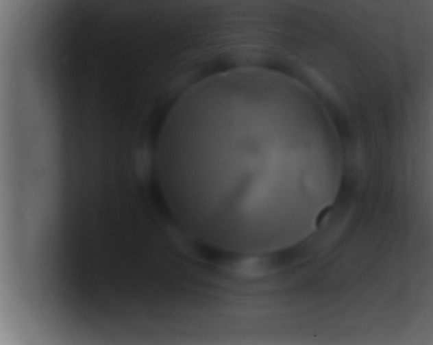 X0000100760130200807031157