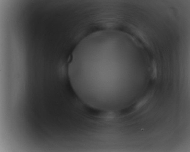 X0000100760131200807031157