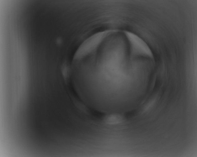 X0000100760137200807031157