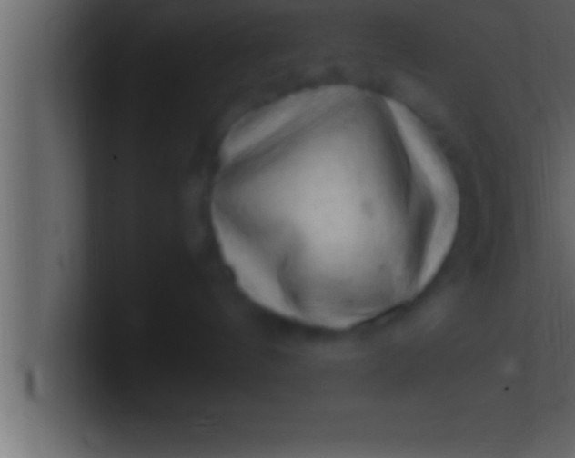 X0000100760144200807031157