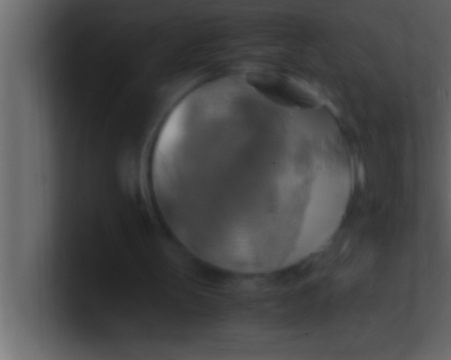 X0000100760147200807031157