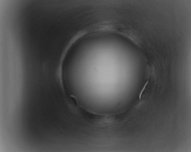 X0000100760148200807031157