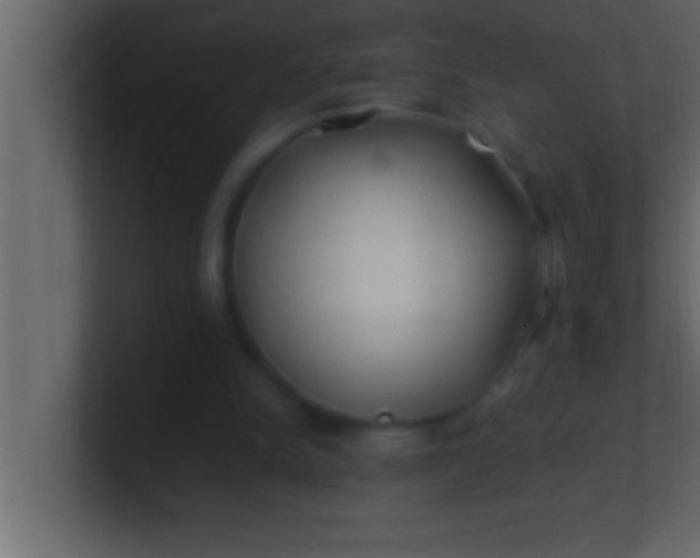 X0000100760150200807031157