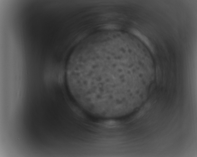 X0000100760153200807031157