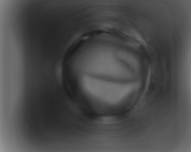 X0000100760154200807031157