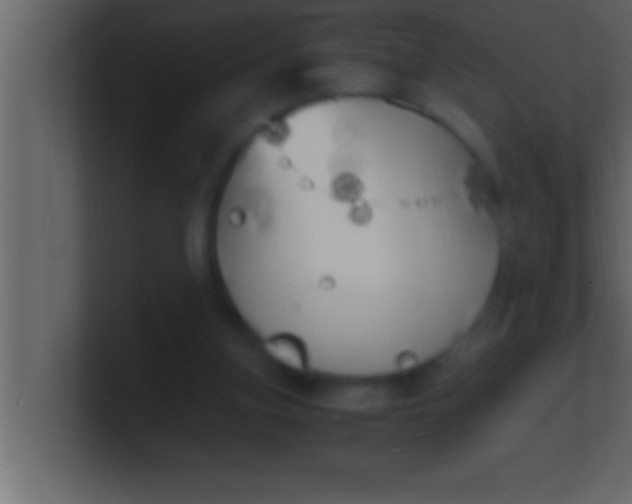 X0000100760155200807031157