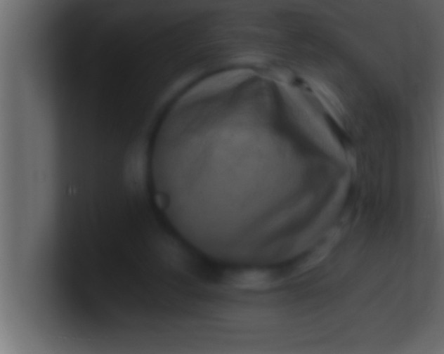 X0000100760156200807031157