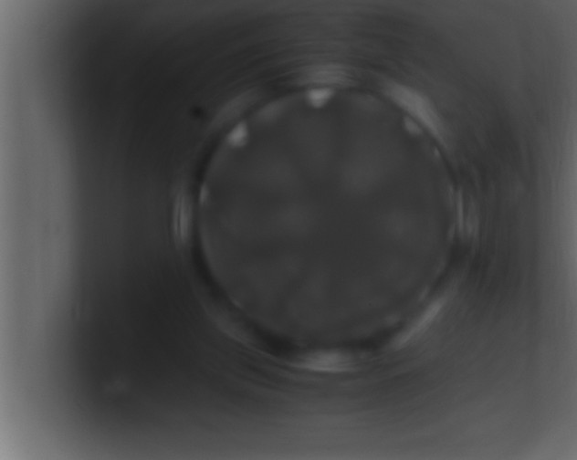 X0000100760157200807031157