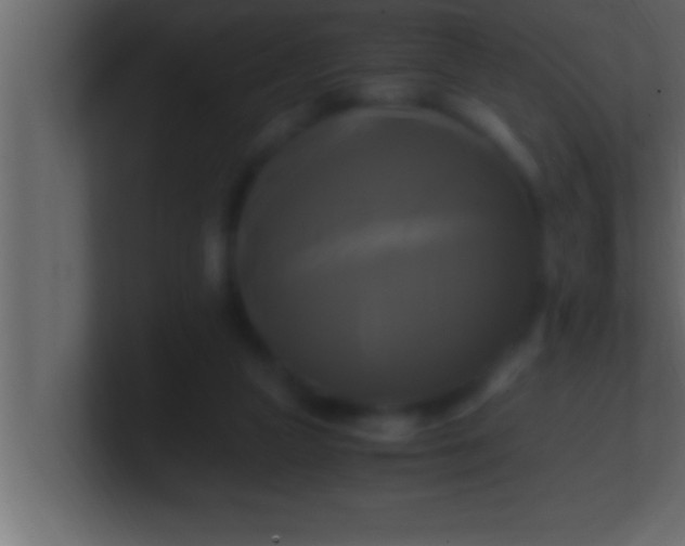 X0000100760161200807031157