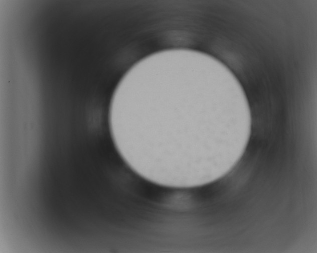 X0000100760162200807031157