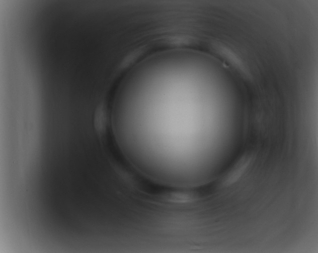 X0000100760164200807031157