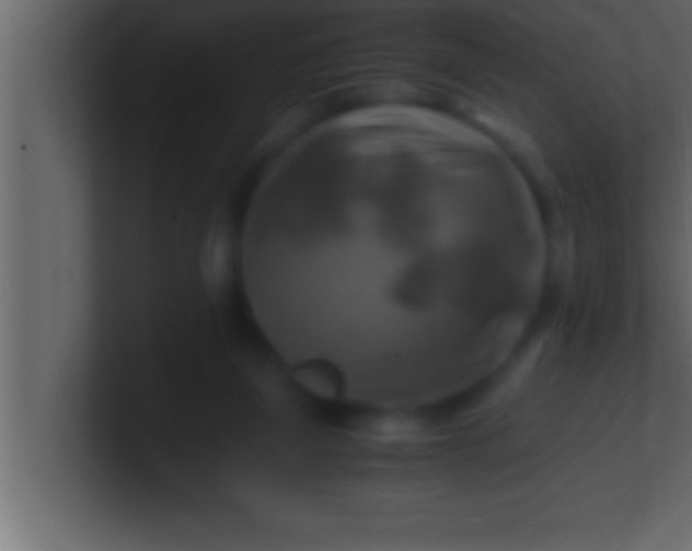 X0000100760165200807031157