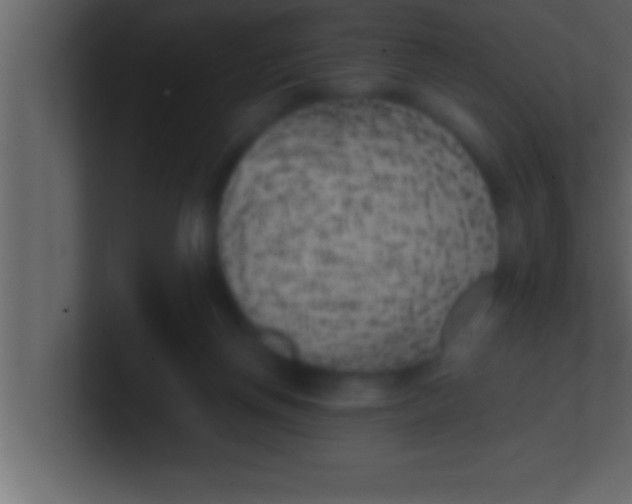 X0000100760166200807031157