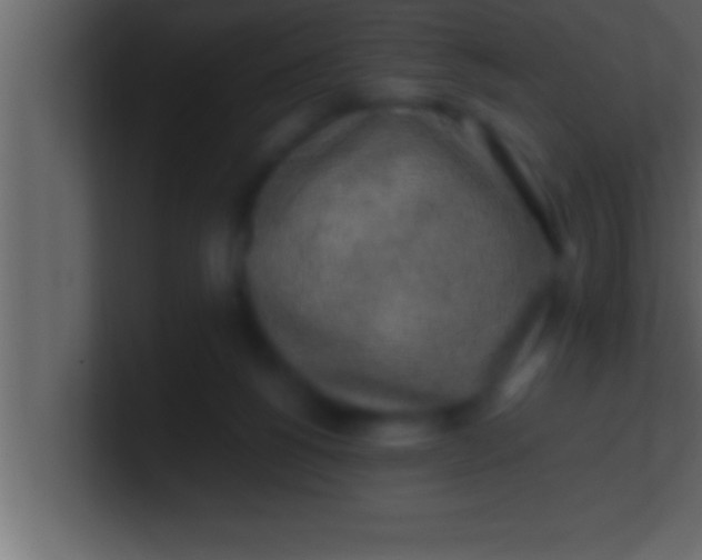 X0000100760168200807031157