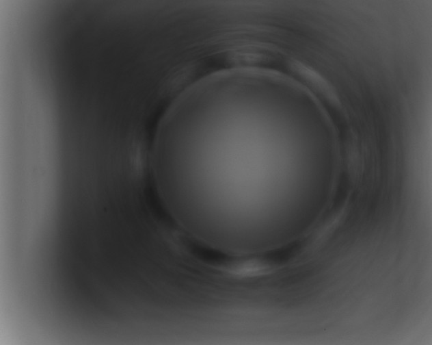 X0000100760169200807031157