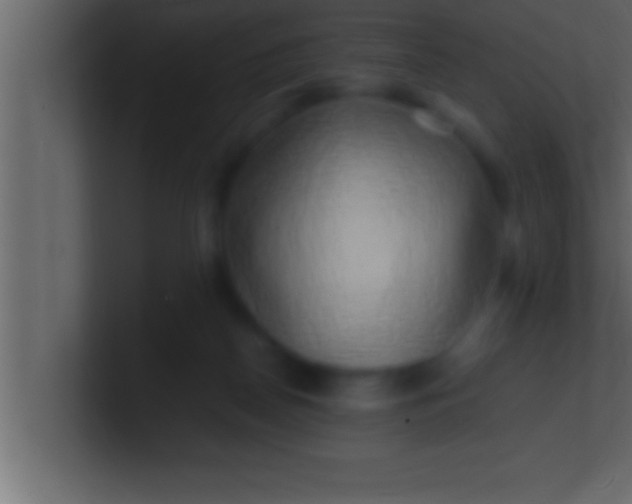 X0000100760170200807031157