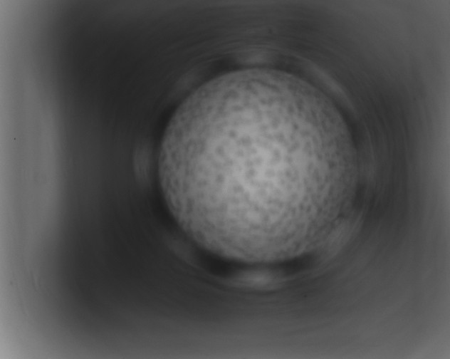 X0000100760171200807031157