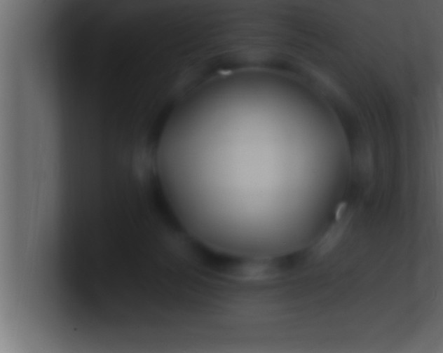 X0000100760172200807031157