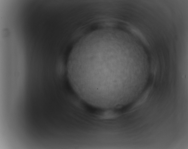 X0000100760173200807031157