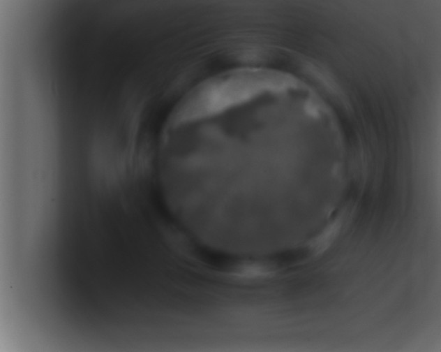 X0000100760175200807031157