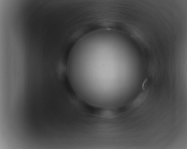 X0000100760176200807031157